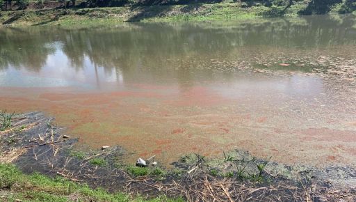 Розовая вода в Манжосовом Яру в Харькове: Экологи назвали вероятные причины