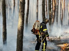 В Харьковской области из-за российских обстрелов загорелся лес: Кадры с места