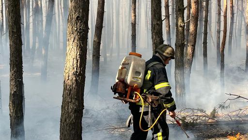 В Харьковской области из-за российских обстрелов загорелся лес: Кадры с места