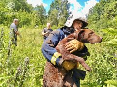 На Харьковщине собака упала в 10-метровый колодец: Кадры спасения