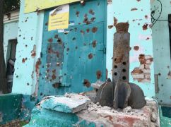 Россияне засыпали "Лепестками" некоторые населенные пункты на Харьковщине — сапер