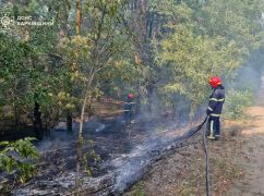 На Харьковщине вторые сутки пылает почти 40 га леса - ГСЧС