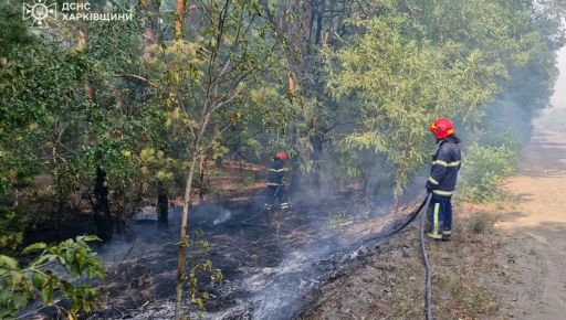 На Харківщині другу добу палає майже 40 га лісу – ДСНС