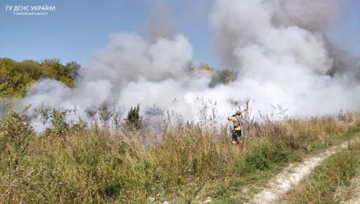В лесах Харьковщины из-за российских обстрелов произошли масштабные пожары