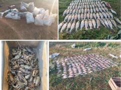 В Харьковской области схватили браконьера, который сетями выловил рыбы на 1,3 млн грн