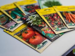 Дачний сезон-2024: Скільки коштує насіння у Харкові