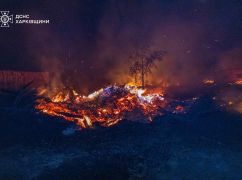 Из-за российских обстрелов горят десятки гектаров леса на Изюмщине - Синегубов