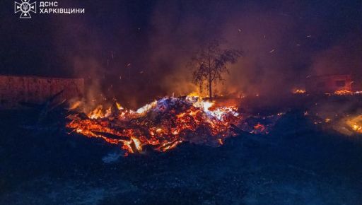 Из-за российских обстрелов горят десятки гектаров леса на Изюмщине - Синегубов