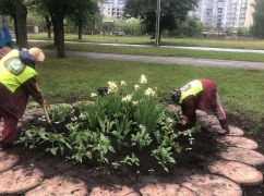Харьковская мэрия отменила многомиллионные тендеры на посадку однолетних цветов