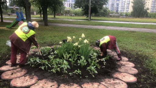 Харьковская мэрия отменила многомиллионные тендеры на посадку однолетних цветов