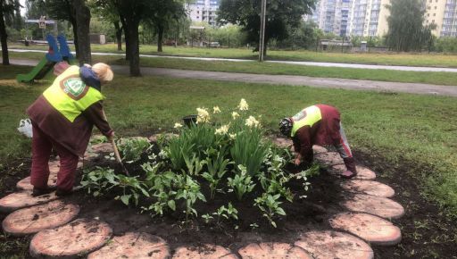 Харківська мерія скасувала багатомільйонні тендери на посадку однорічних квітів