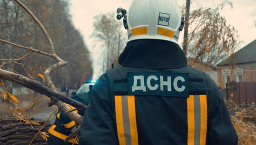 В Харькове дерево упало на людей: Двое госпитализированы