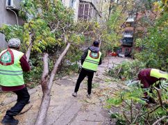 У Харкові кількість повалених буревієм дерев зросла до майже 200