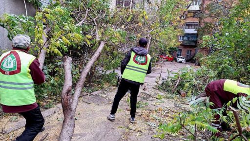 В Харькове количество сваленных ураганом деревьев возросло до почти 200