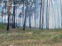 Спасателям пришлось под обстрелами тушить 5 га леса на Харьковщине