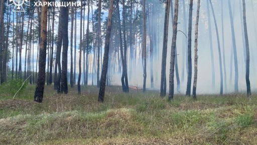 Рятувальникам довелося під обстрілами гасити 5 га лісу на Харківщині