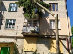 В Харькове коммунальщики сняли с крыш деревья, попавшие туда после обстрела