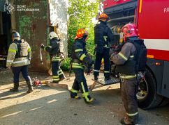 У Чугуєві песик врятувався з-під обстрілу