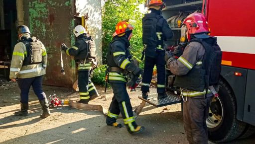 В Чугуеве собачка спаслась из-под обстрела