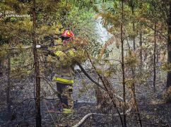 У Харківській області протягом доби 5 разів горіли поля та ліс