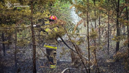 У Харківській області протягом доби 5 разів горіли поля та ліс