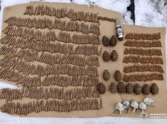 У жителя Ізюмського району вилучили арсенал боєприпасів