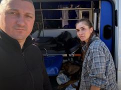 На Харьковщине полицейские спасли на дороге травмированную собаку