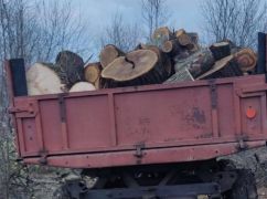 Жителя Лозовщины подозревают в незаконном уничтожении защитной лесополосы