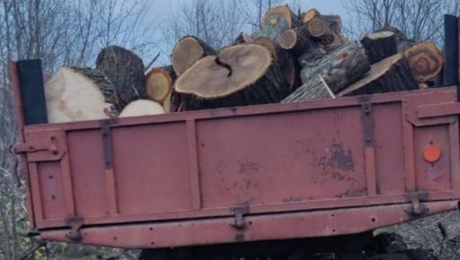 Жителя Лозовщины подозревают в незаконном уничтожении защитной лесополосы