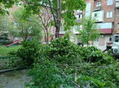 Ураган в Харькове: У Терехова показали последствия непогоды в городе
