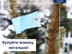 Полиция Харькова рассказала, как купить "легальную" елку