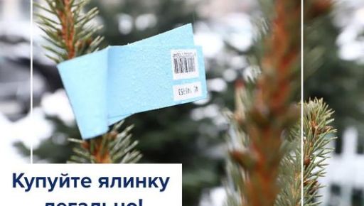 Полиция Харькова рассказала, как купить "легальную" елку