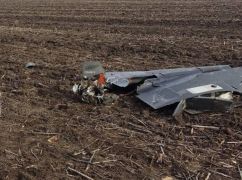 Прикордонники з Харківщини знищили ворожі дрони в небі України: бойові відео