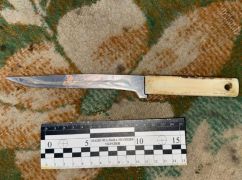 На Харківщині жінка вдарила ножем співмешканця під час сварки