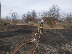 На деоккупированной Харьковщине из-за сухой травы чуть не загорелся лес