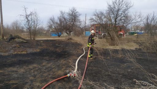 На деоккупированной Харьковщине из-за сухой травы чуть не загорелся лес
