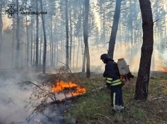 На Харківщині через російський обстріл спалахнув ліс: Кадри з місця