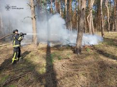 На Харьковщине потушили загоревшийся  из-за российских обстрелов лес
