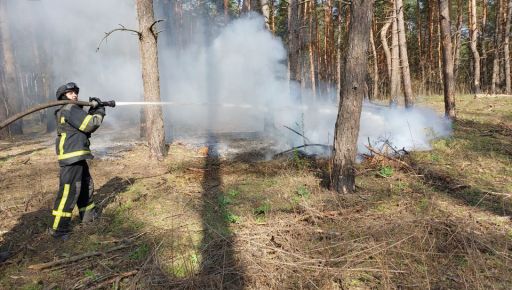 На Харьковщине потушили загоревшийся  из-за российских обстрелов лес