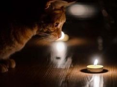 Як вимикатимуть світло в Харкові 17 лютого: графік відключень