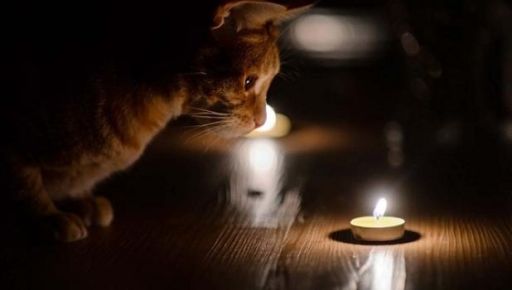 В Харьковской области вводят ГПО на сутки: когда не будет света 26 февраля