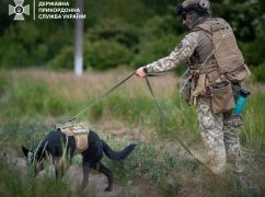 Операция "Кот": На Волчанском направлении спасли пушистиков