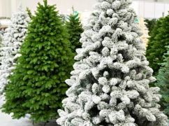 Сколько стоит искусственная елка в 2025 году в Харькове