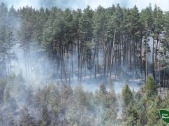 В Харьковской области огонь уничтожил восемь гектаров 68-летнего леса