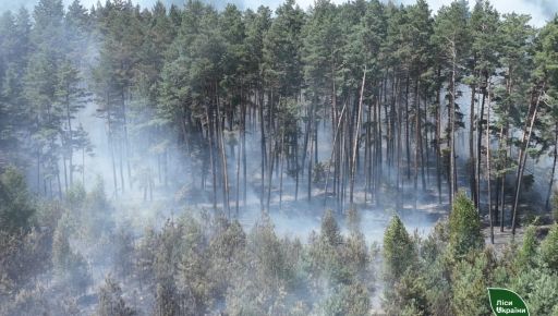 В Харьковской области огонь уничтожил восемь гектаров 68-летнего леса