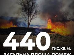 На Харківщині за добу сталося 50 пожеж в екосистемах - ДСНС