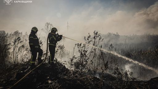 Масштабна пожежа біля очисних споруд у Харкові: ДСНС підігнала спецпотяг