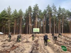 Военные и лесники высадили более 5 тыс. деревьев возле Змиева