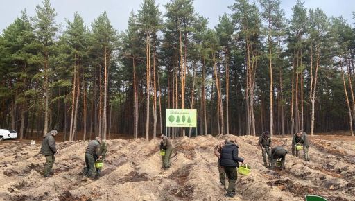 Военные и лесники высадили более 5 тыс. деревьев возле Змиева