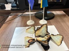 Харківська ДМС відновила паспорт із купи попелу (ФОТОФАКТ)